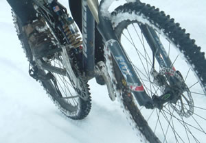 Winter wheels! Photo by Glennys Hammond.